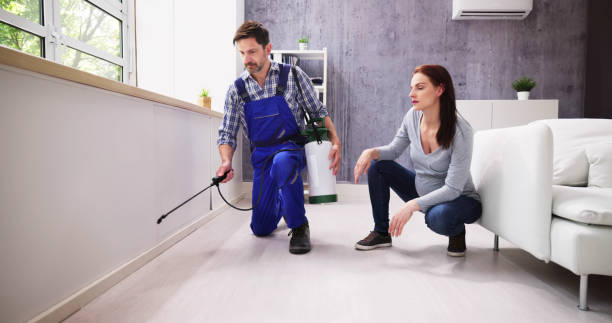 Best Pest Prevention Services  in Whiteriver, AZ